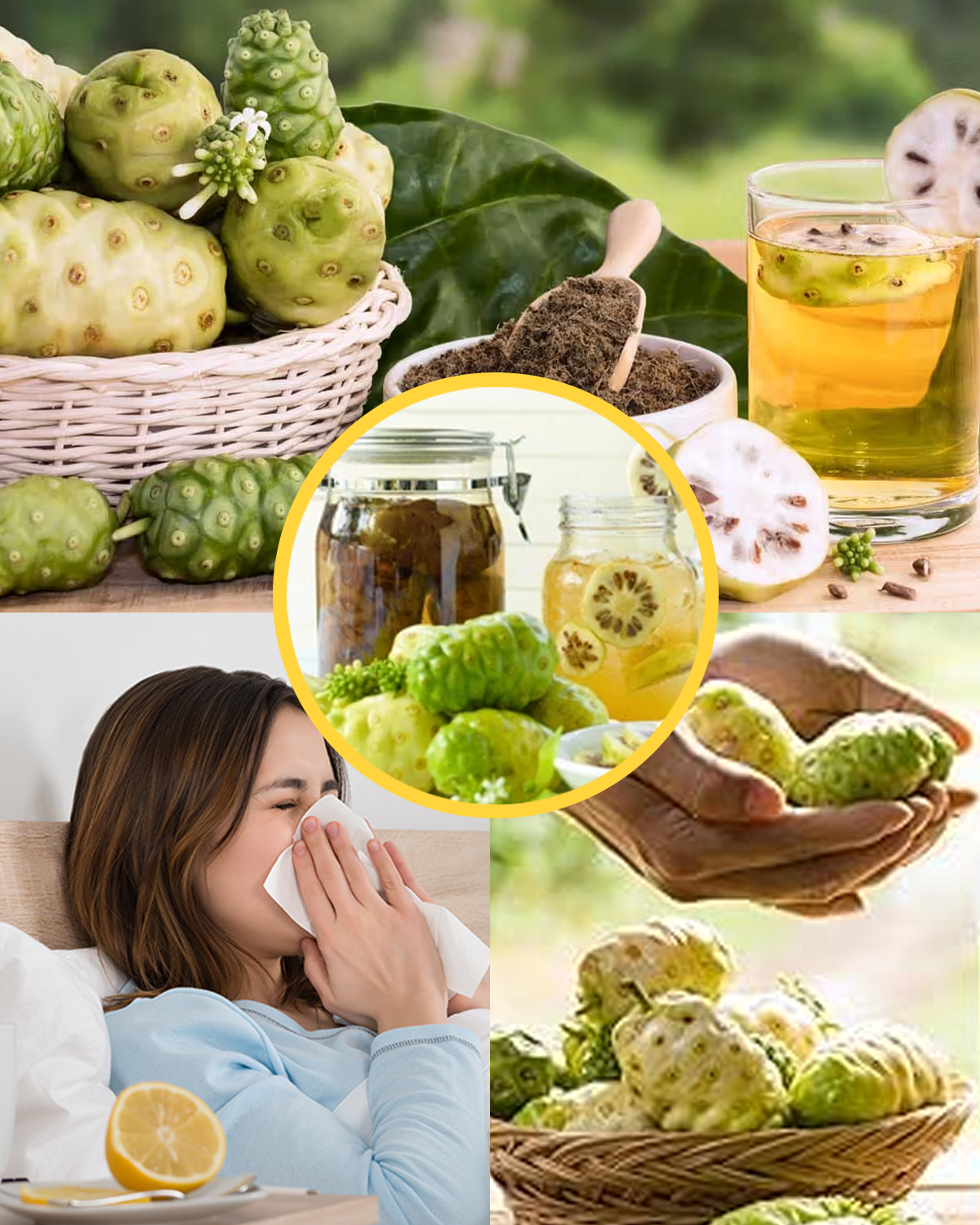 The Ultimate Healing Elixir: How Noni, Bay Leaf, and Turmeric Tea Can Transform Your Health