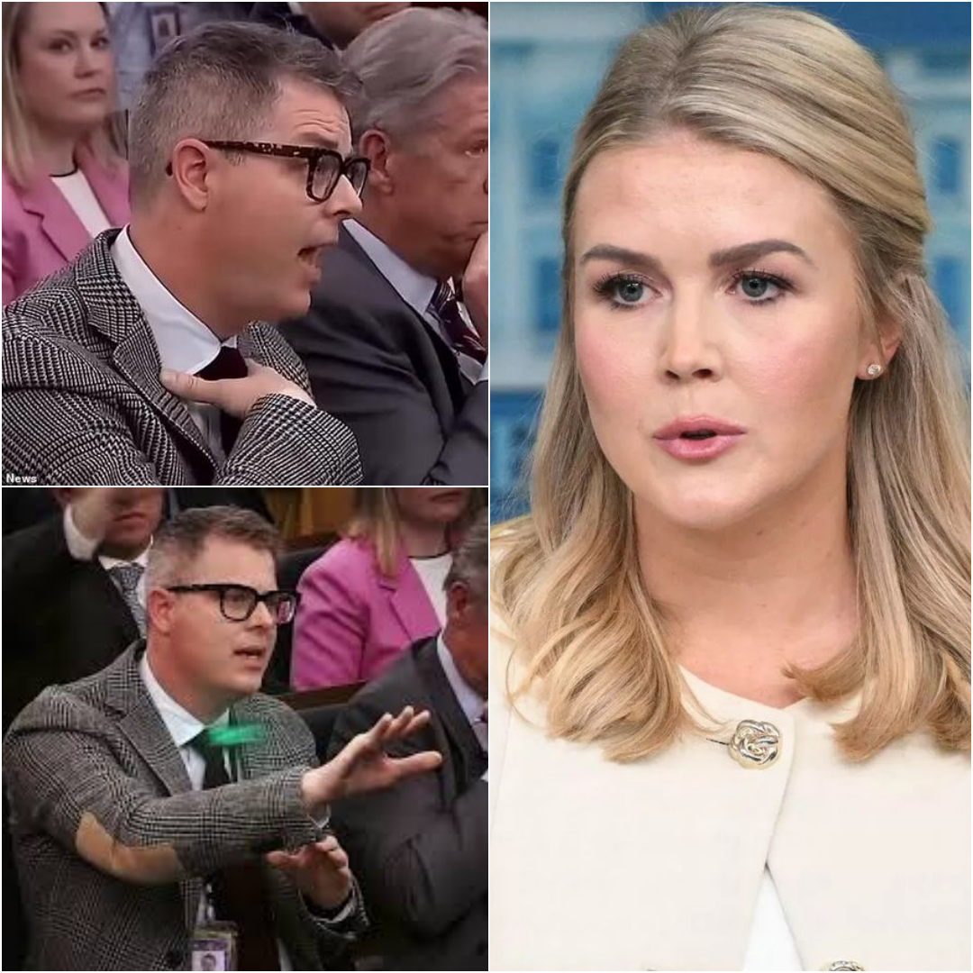 Reporter FIRED After Insulting Karoline Leavitt on Live TV—What She Said in Response SH0CKED the Nation!