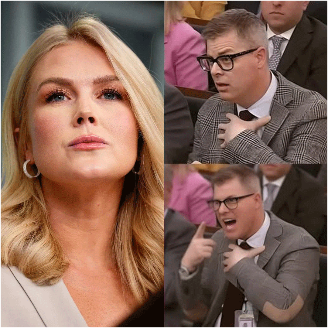 Live TV Explosion: What Karoline Leavitt Said That Got a Reporter Instantly Fired