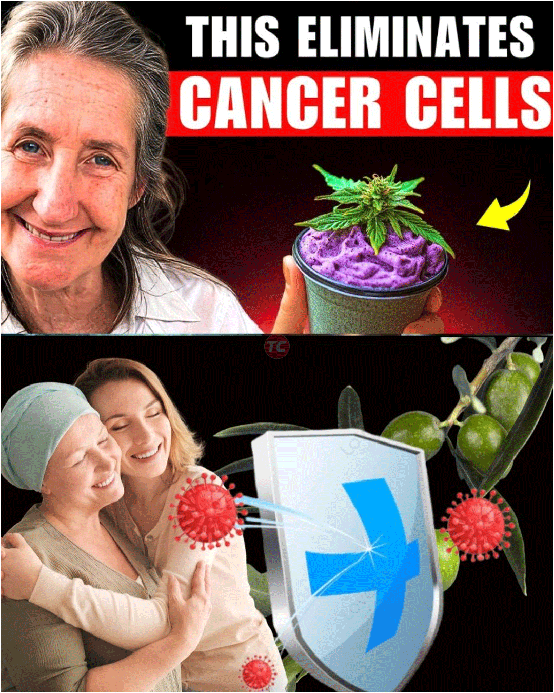The #1 Cancer-Fighting Superfood You’ve Probably Never Tried—But Should Starting Today