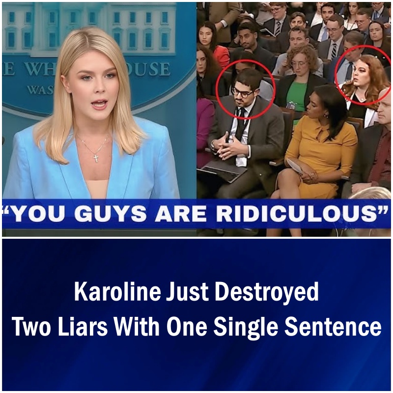 Karoline Just Destroyed Two Liars With One Single Sentence