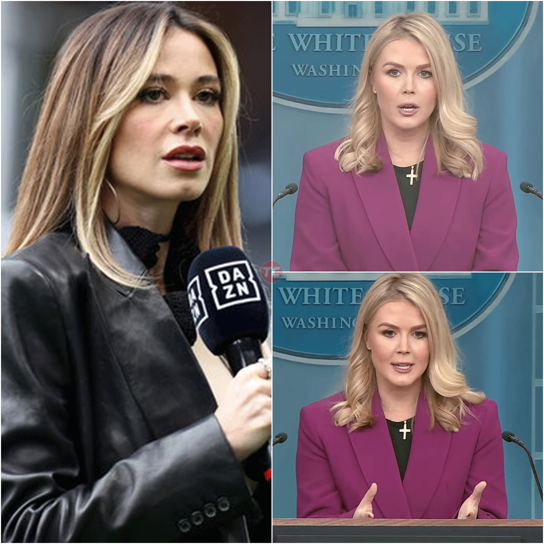 Reporter FIRED After Disrespecting Karoline Leavitt LIVE—Her Savage Comeback Left the Studio Speechless!