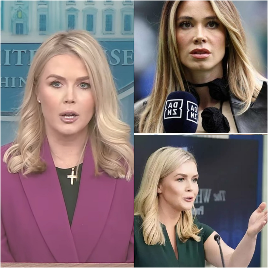 Reporter FIRED Live on Air After Insulting Karoline Leavitt — Shocking TV Meltdown Goes Viral