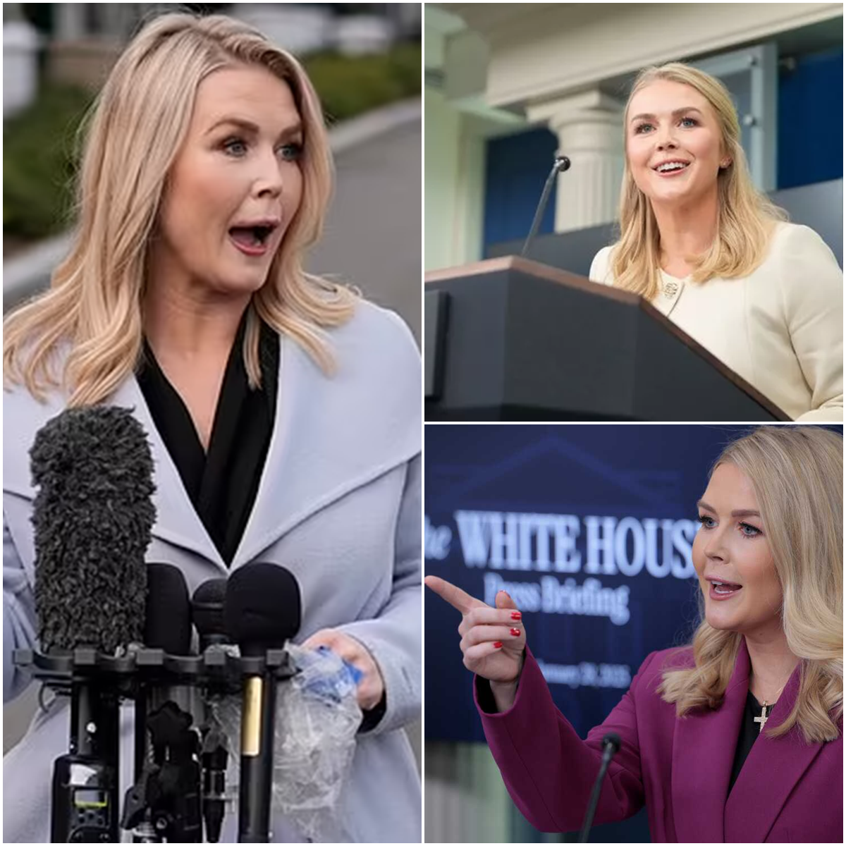 Karoline Leavitt Silences Reporter Live on Air—What Happened Next SHOCKED Everyone