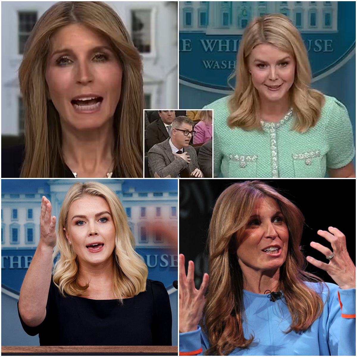 Nicolle Wallace Melts Down on Live TV After Karoline Leavitt’s Savage Comeback—Audience Left in SHOCK